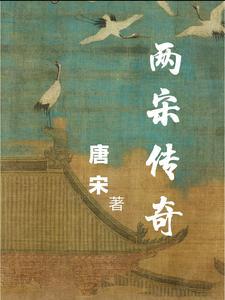 两宋的书