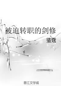 被迫转职的剑修免费