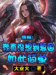 海贼我真没想到篡国如此简单最