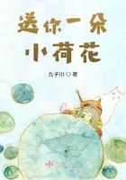 送你一朵荷花阅读理解答案