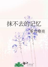 抹不去的回忆作文600字六年级