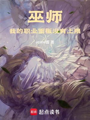 巫师我的职业面板没有上限笔趣阁
