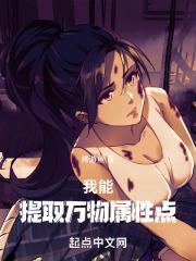 我能从万物提取属性